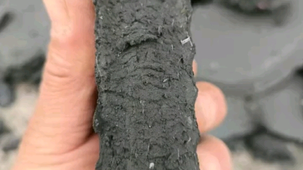 污泥處理與資源化解決方案 設(shè)備、技術(shù)與市場(chǎng)應(yīng)用